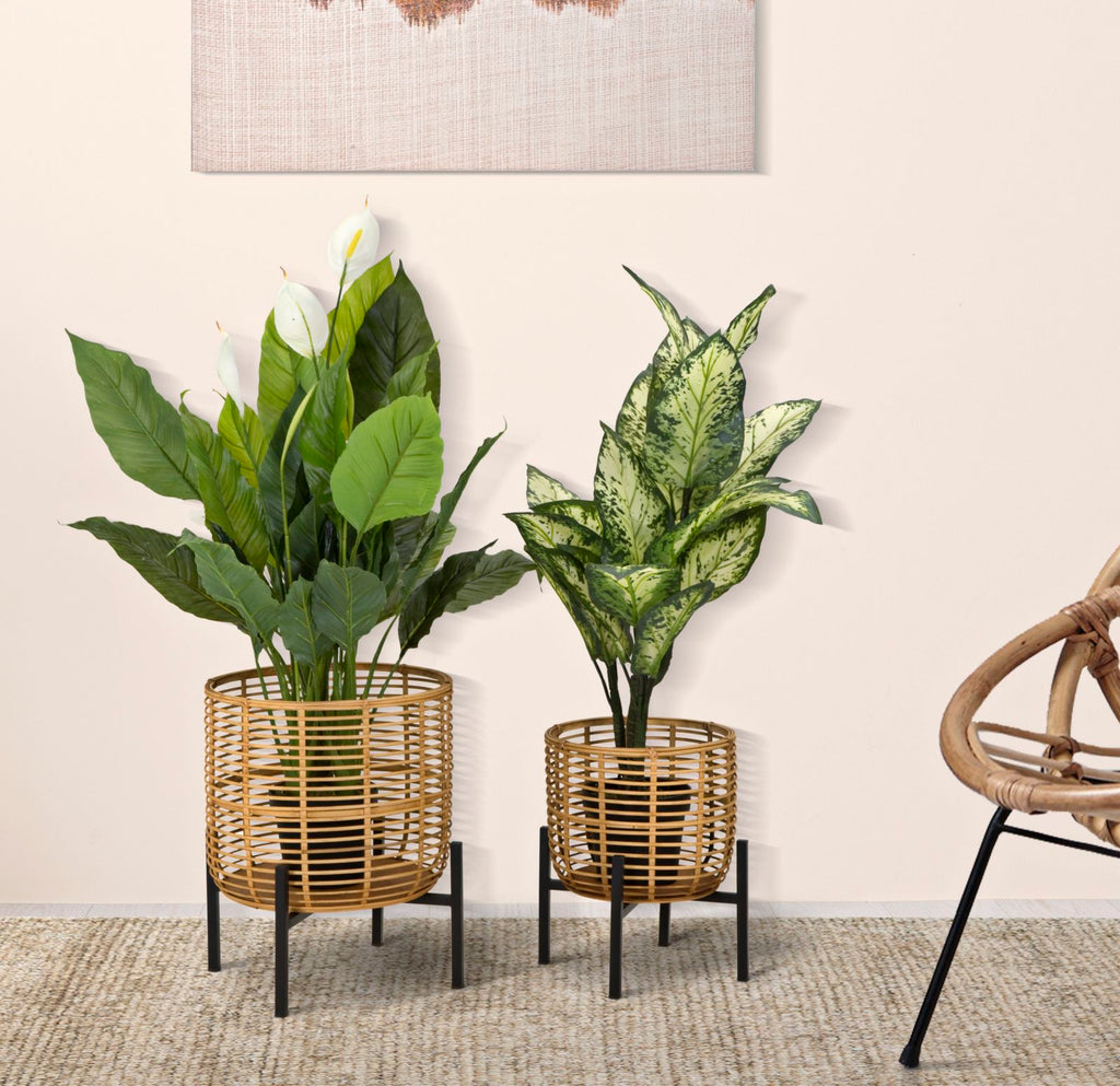 Portavasi Rattan coppia - foto 5