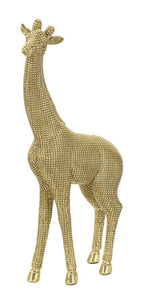 Giraffa - foto 1