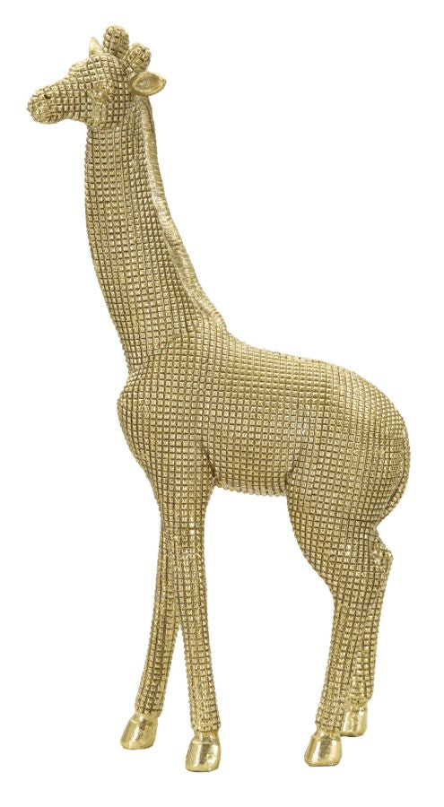 Giraffa - foto 2