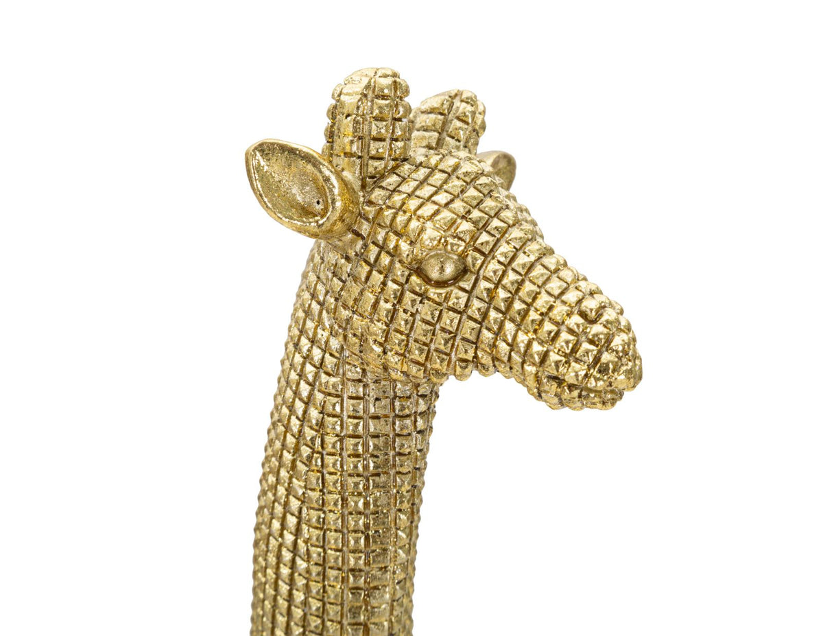 Giraffa - foto 3