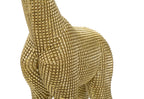 Giraffa - foto 4
