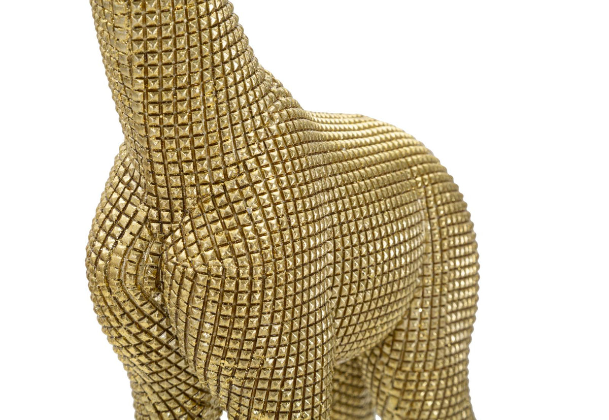 Giraffa - foto 4