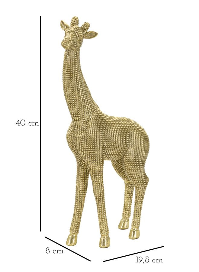 Giraffa - foto 6