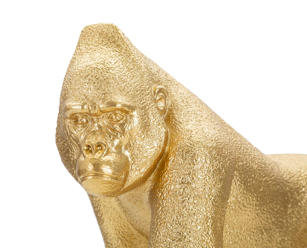 Gorilla Decor Frontale - foto 3