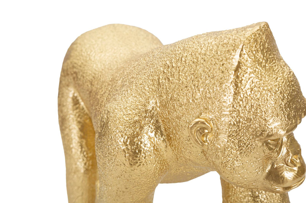 Gorilla Decor Frontale - foto 4