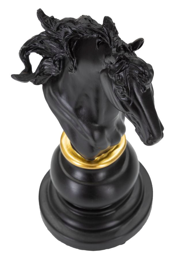 Cavallo Nero e Oro - foto 4