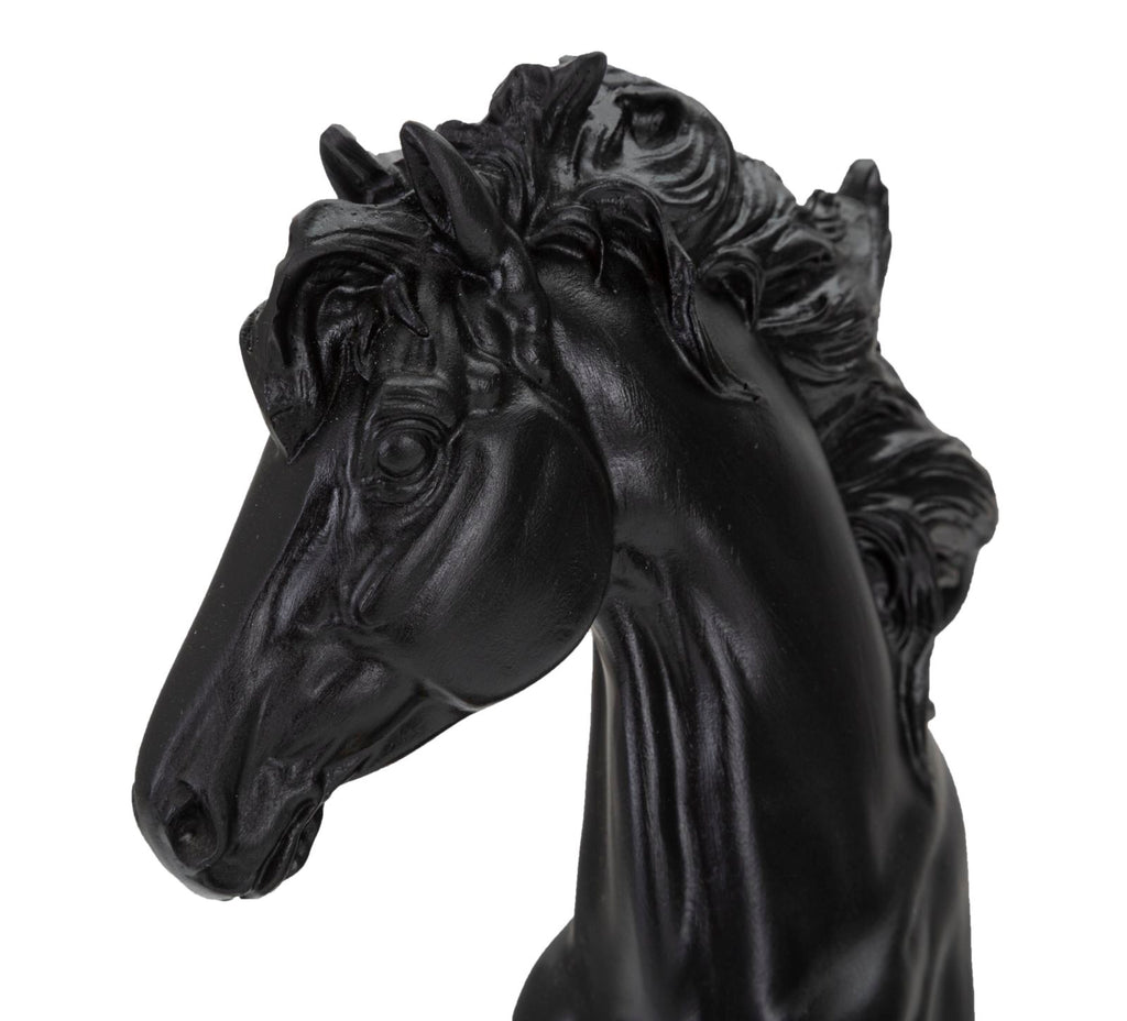 Cavallo Nero e Oro - foto 5