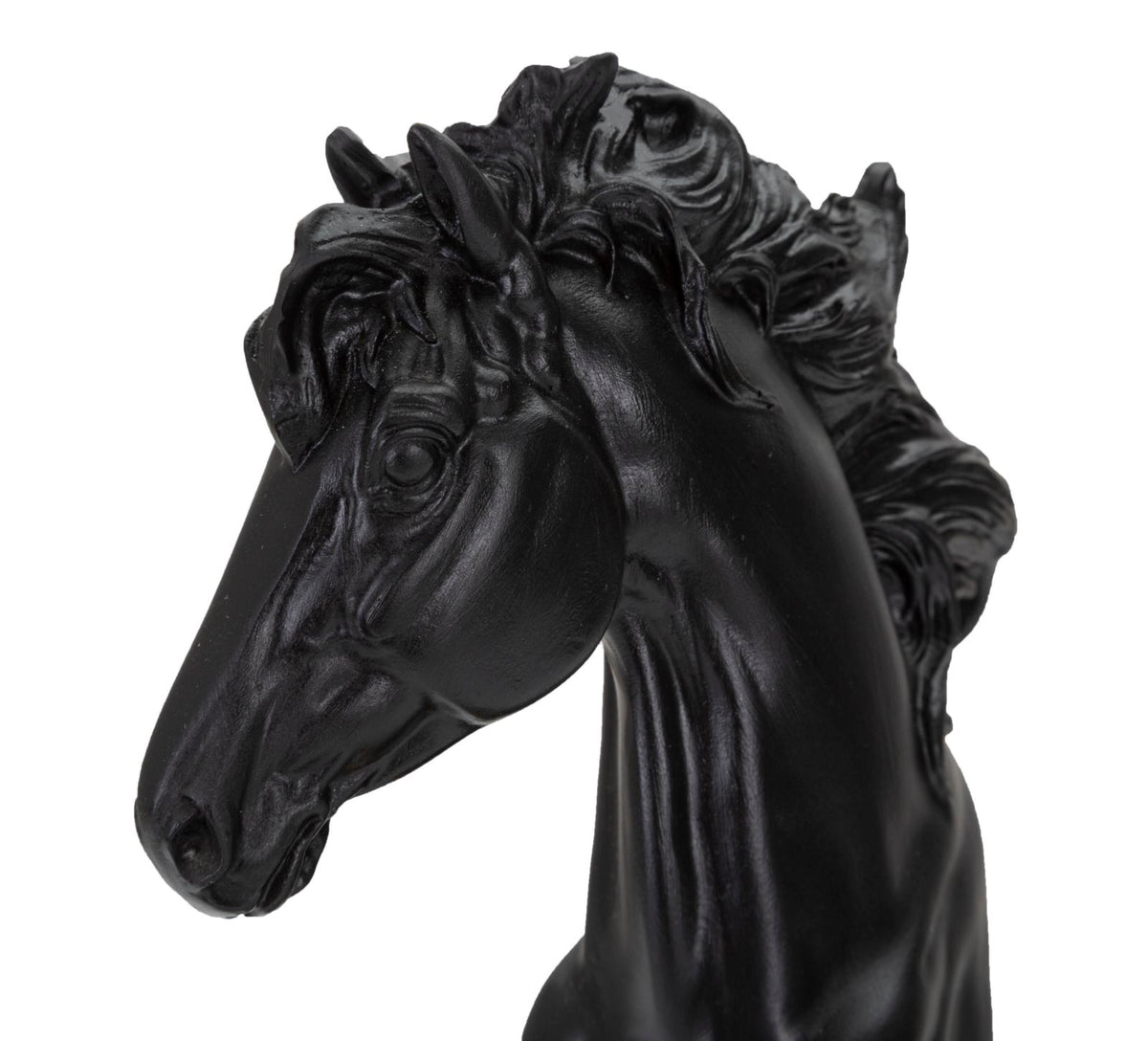 Cavallo Nero e Oro - foto 5