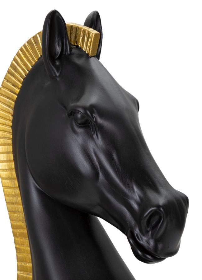 Cavallo Nero e Oro - foto 5
