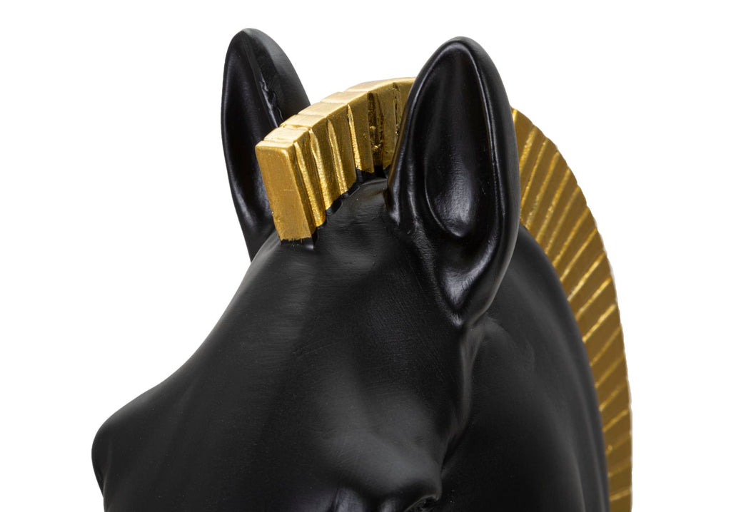 Cavallo Nero e Oro - foto 7