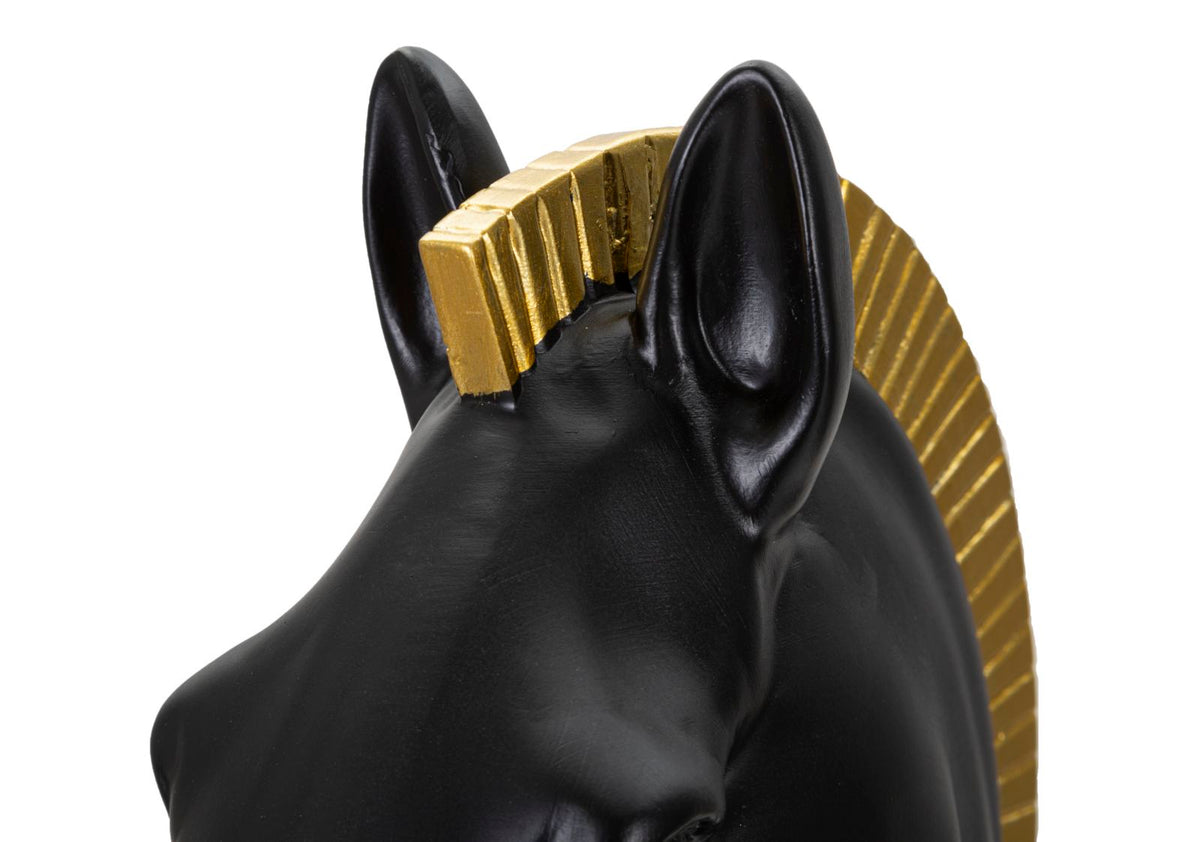 Cavallo Nero e Oro - foto 7
