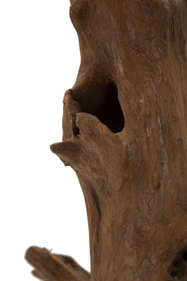 Scultura Akar in Teak Riciclato - foto 4