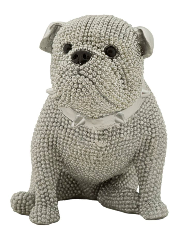 Cane Sparky - foto 1