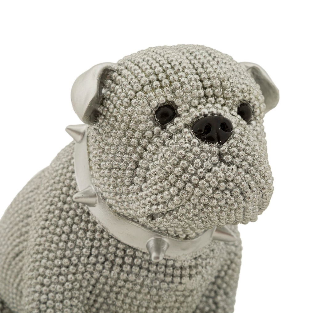 Cane Sparky - foto 4