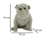 Cane Sparky - foto 6