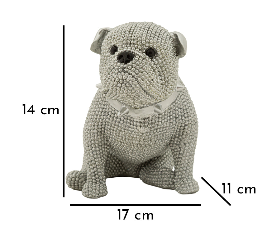 Cane Sparky - foto 6