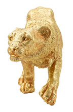 Leopardo Shant - foto 2