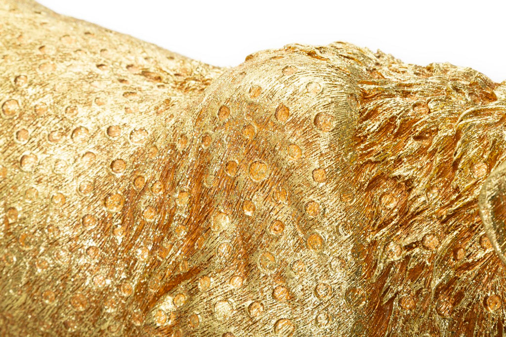 Leopardo Shant - foto 6