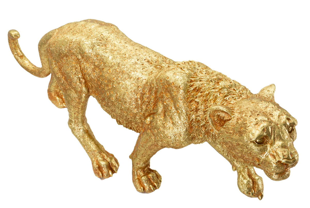 Leopardo Shant - foto 8