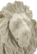 Leone Stons - foto 5
