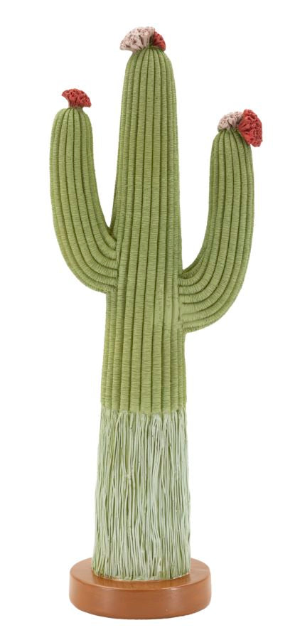 Cactus - foto 1