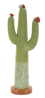 Cactus - foto 1