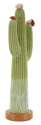 Cactus - foto 2