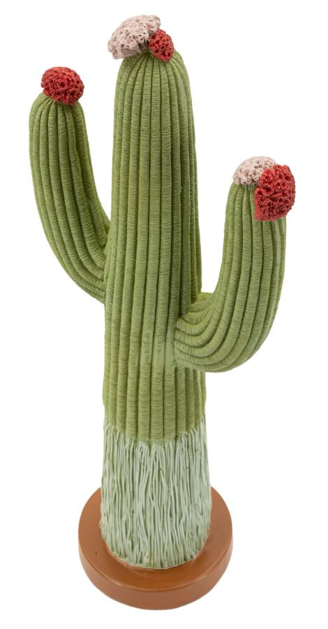 Cactus - foto 3