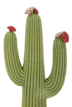 Cactus - foto 4