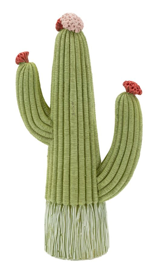 Cactus - foto 1