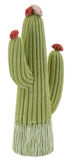 Cactus - foto 2
