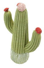 Cactus - foto 3