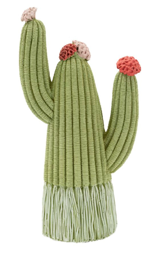 Cactus - foto 1