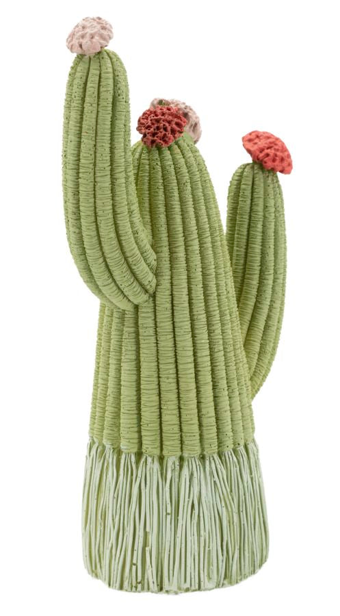 Cactus - foto 2