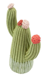 Cactus - foto 3