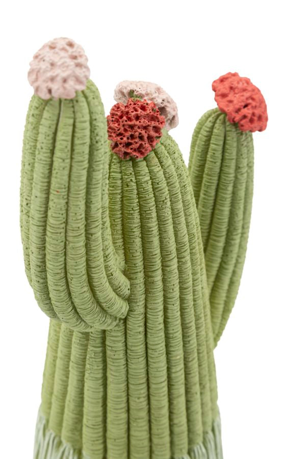 Cactus - foto 4