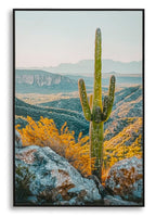 Stampa su tela Laccata con cornice Cactus, 60x4x90 cm