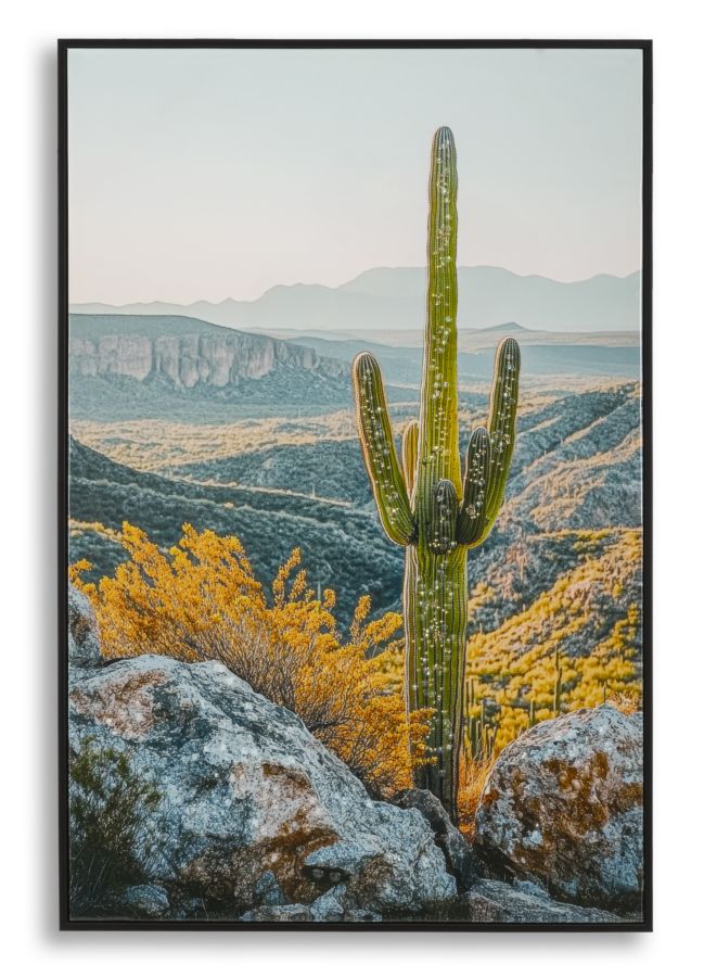 Stampa su tela Laccata con cornice Cactus, 60x4x90 cm