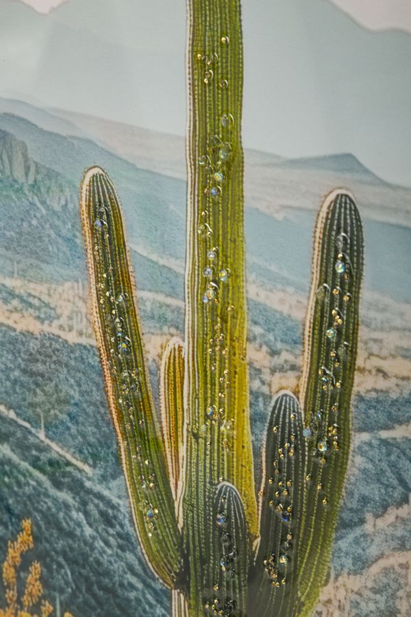 Stampa su tela Laccata con cornice Cactus, 60x4x90 cm – dettaglio 2