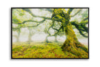 Stampa su tela Laccata con cornice Foresta, 90x4x60 cm