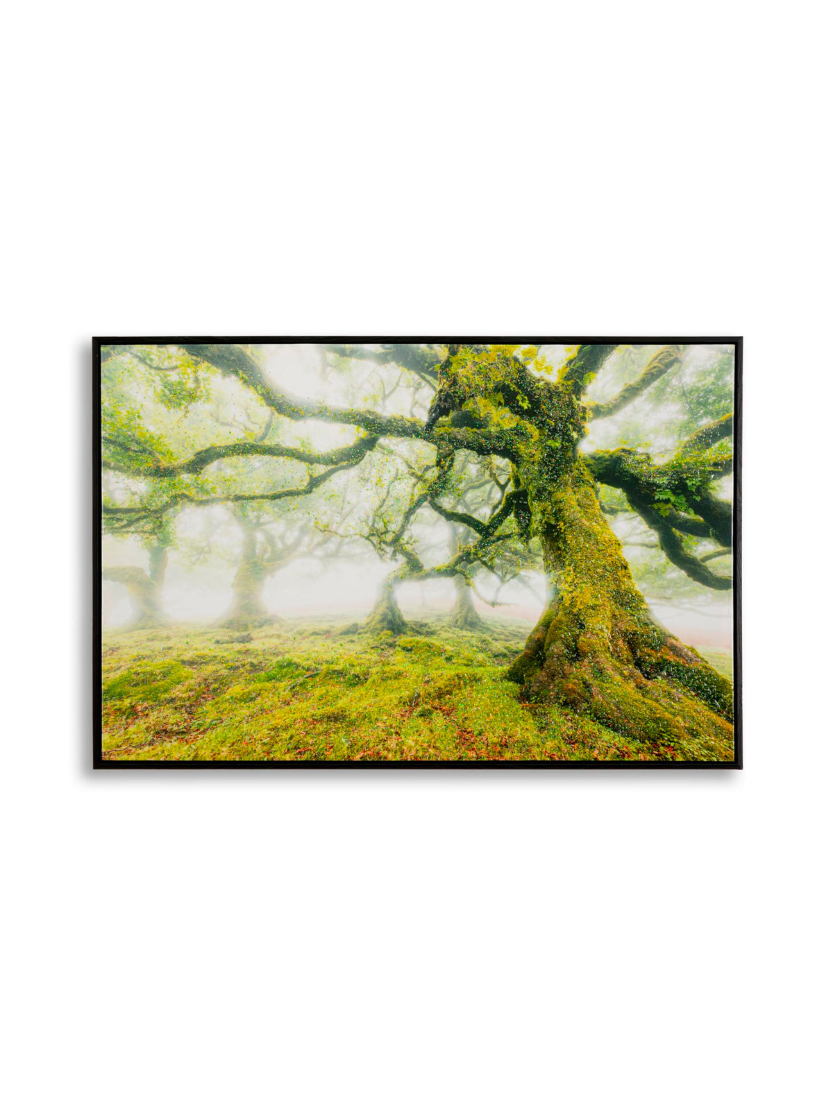 Quadro decorativo in legno multicolore, 90x4x60 cm – Foresta
