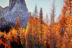 Stampa su tela Laccata con cornice Lake, 90x4x60 cm – dettaglio 2