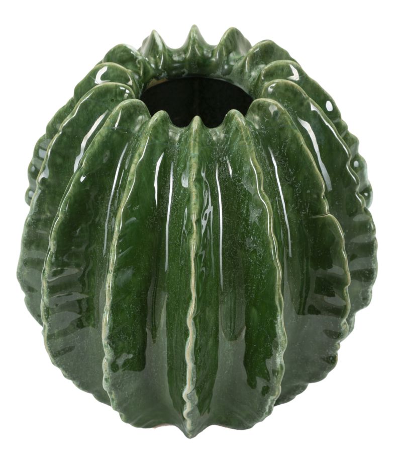 Vaso Cactus Ball - foto 2