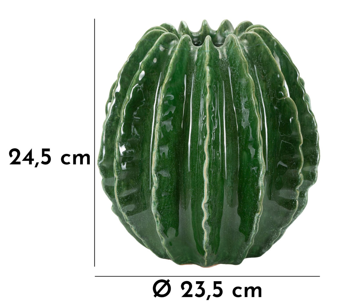 Vaso Cactus Ball - foto 6