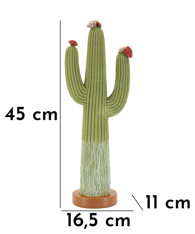 Cactus - foto 8