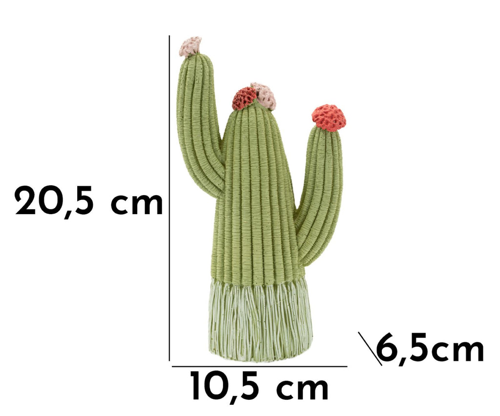 Cactus - foto 7