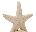 Stella Marina Sand - foto 4