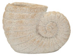 Vaso Shell Sand - foto 1