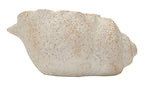 Vaso Shell Sand - foto 1