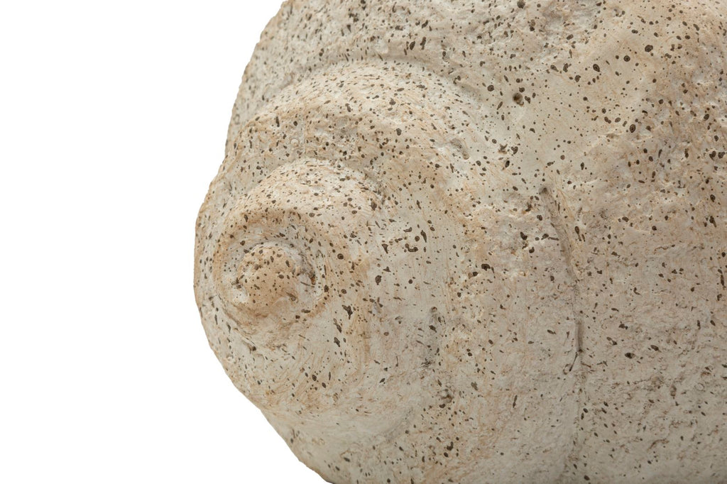 Vaso Shell Sand - foto 5